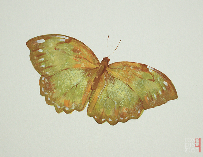 роспись детской комнаты, бабочка